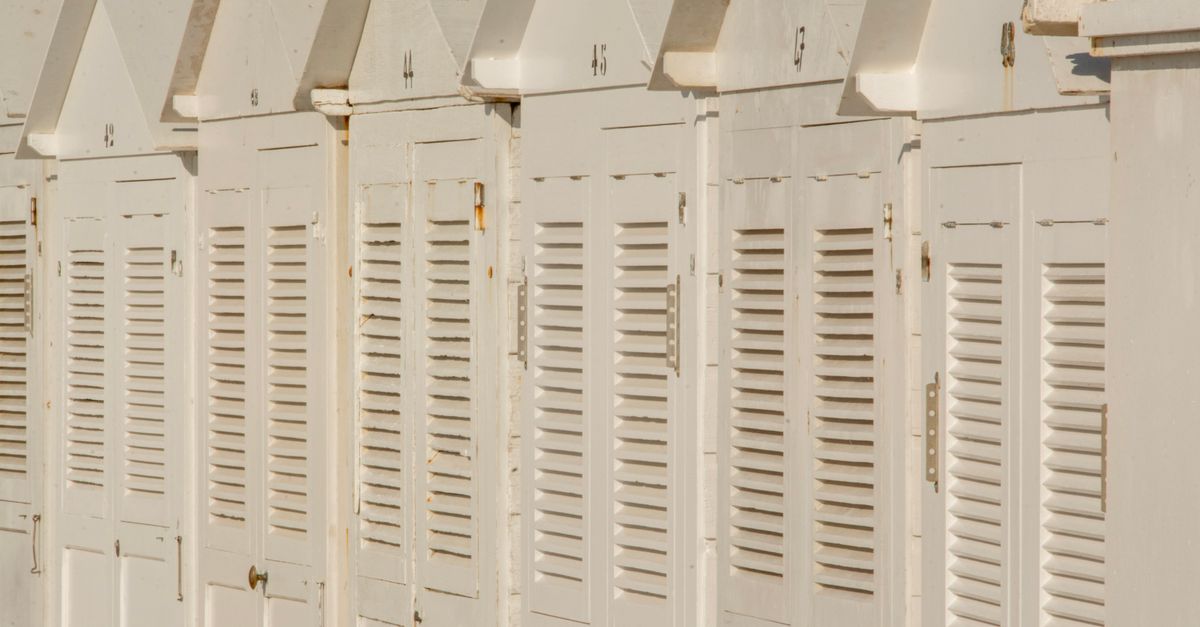 Effective Ways to Combat Insects on Plantation Shutters