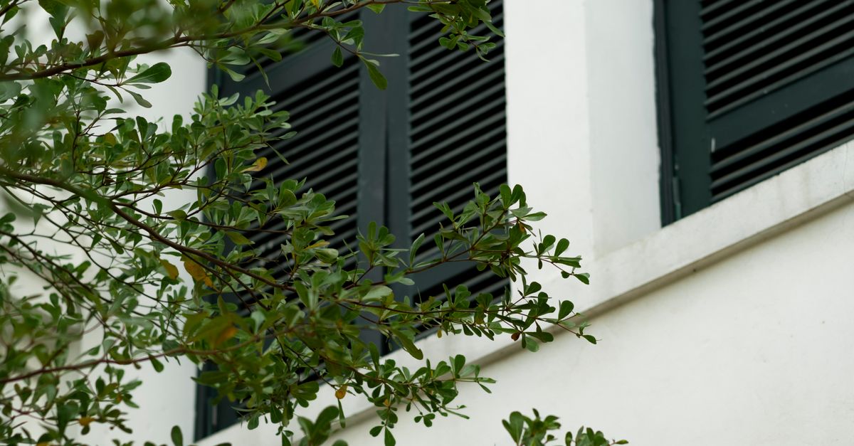How Plantation Shutters Provide a Barrier Against Intruders