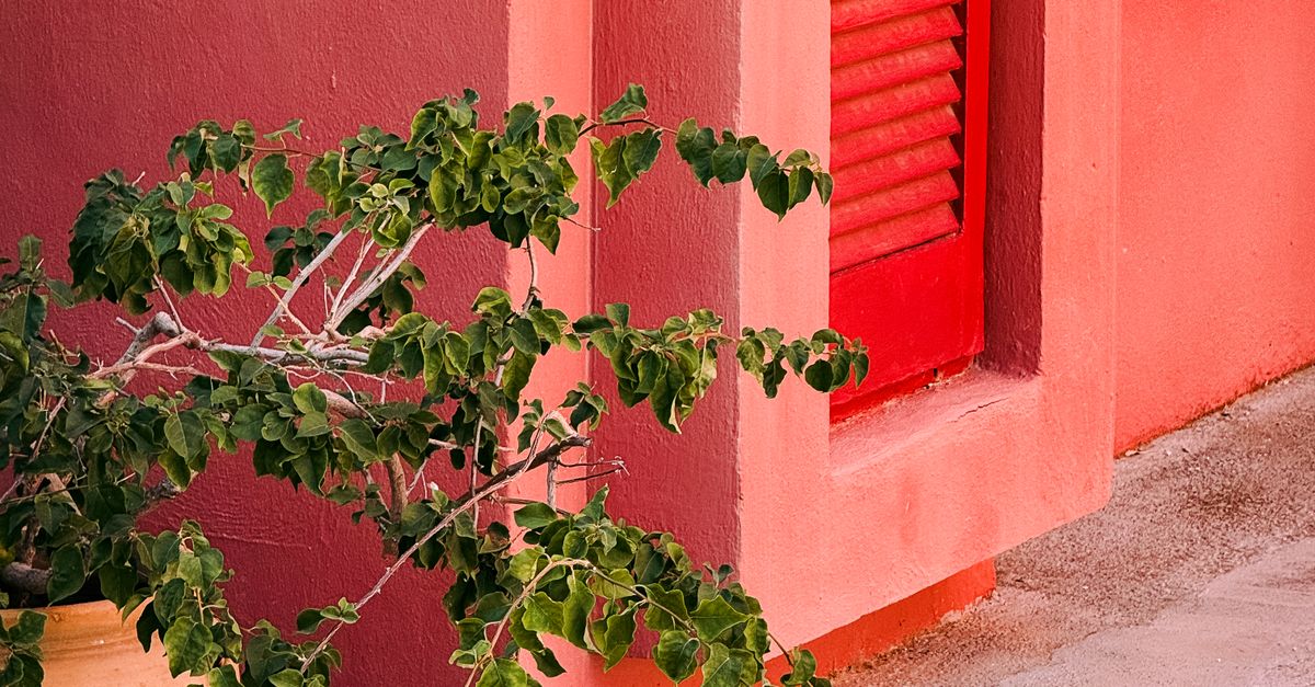 Plantation Shutters: A Stylish Solution for Increased Privacy